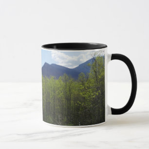 Smoky Mountains in Spring Landscape Mok