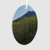 Smoky Mountains in Spring Landscape Ornament (voorkant)