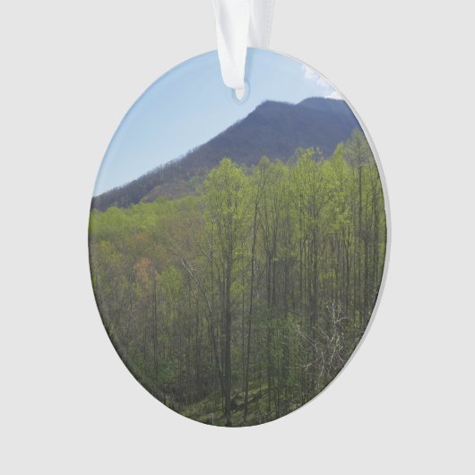 Smoky Mountains in Spring Landscape Ornament (voorkant)