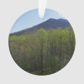 Smoky Mountains in Spring Landscape Ornament (voorkant)