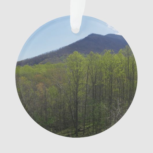 Smoky Mountains in Spring Landscape Ornament (voorkant)