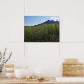 Smoky Mountains in Spring Landscape Poster (Keuken)