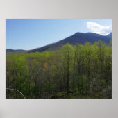 Smoky Mountains in Spring Landscape Poster (Voorkant)
