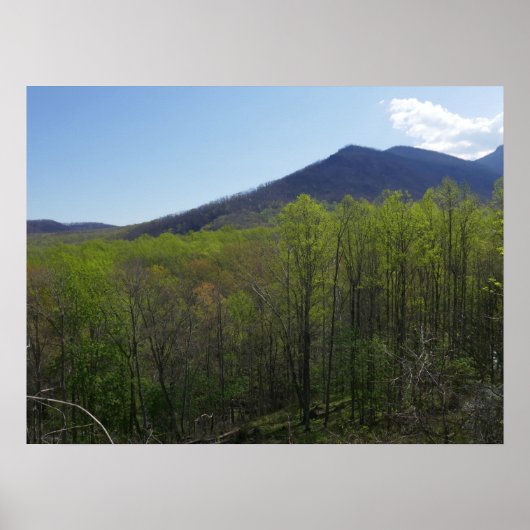 Smoky Mountains in Spring Landscape Poster (Voorkant)