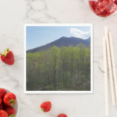 Smoky Mountains in Spring Landscape Servet (Insitu)