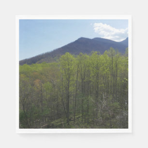 Smoky Mountains in Spring Landscape Servet