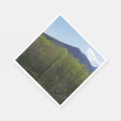 Smoky Mountains in Spring Landscape Servet (Hoek)