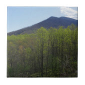 Smoky Mountains in Spring Landscape Tegeltje (Voorkant)