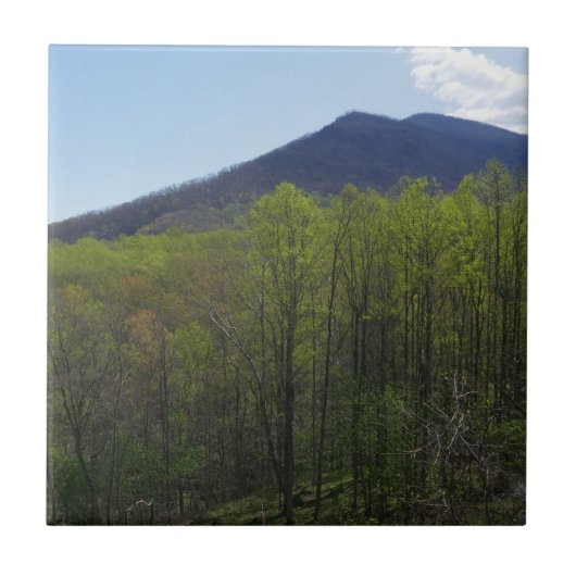 Smoky Mountains in Spring Landscape Tegeltje (Voorkant)