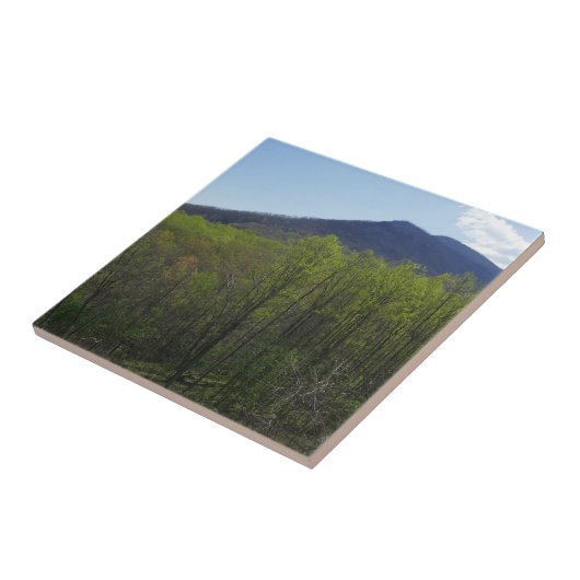 Smoky Mountains in Spring Landscape Tegeltje (Zijkant)