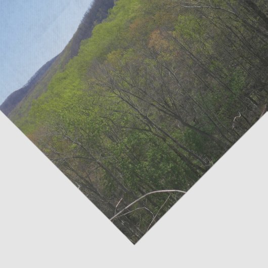 Smoky Mountains in Spring Landscape Tissuepapier (Detail)