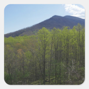 Smoky Mountains in Spring Landscape Vierkante Sticker