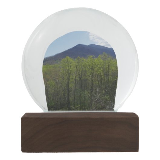 Smoky Mountains in Spring Sneeuwbol (Achterkant)