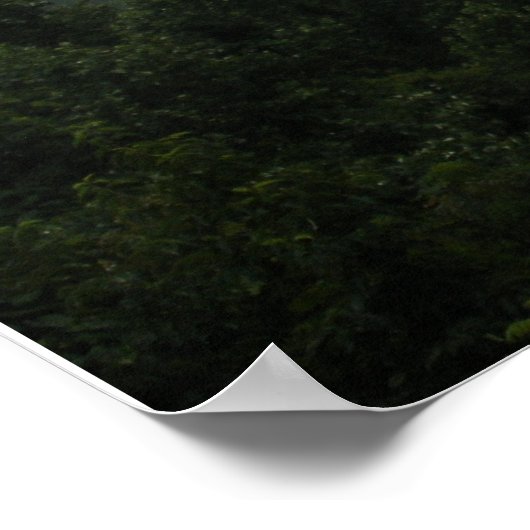 Smoky Mountains Poster (Hoek)