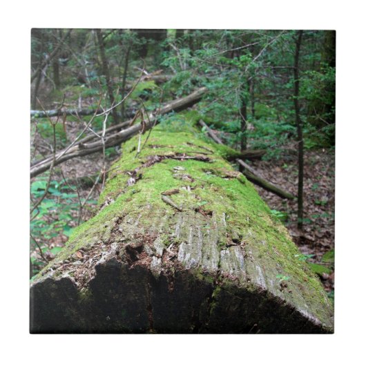 Smoky Mountains Tegeltje (Voorkant)