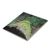 Smoky Mountains Tegeltje (Zijkant)