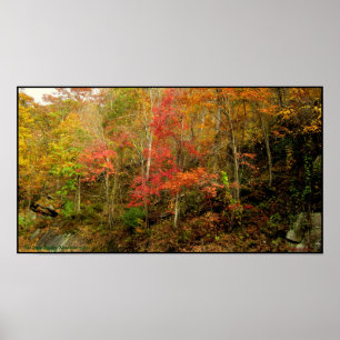 Smoky Mountains Tennessee in de Herfst Poster