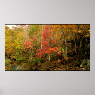 Smoky Mountains Tennessee in de Herfst Poster