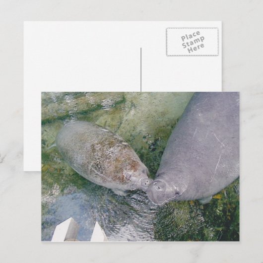 Smooch Post-kaart beheren Briefkaart (Voorkant / Achterkant)