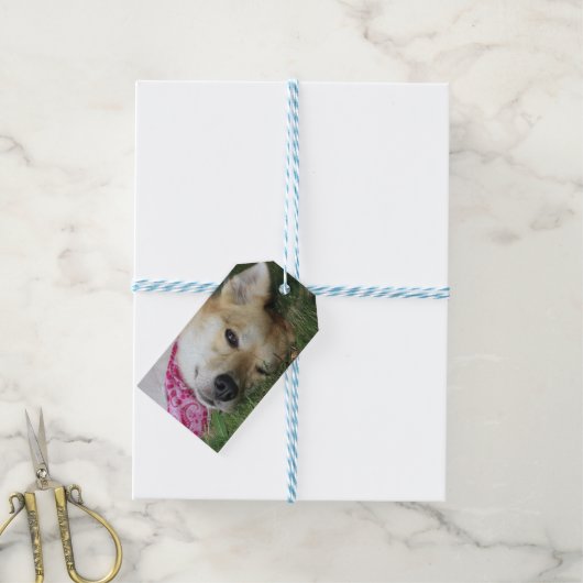 Smoochie Cadeaulabel (Met Touw)