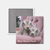 Smooshie Baby Geitenmagneet Magneet (Voorkant / Achterkant)