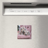 Smooshie Baby Geitenmagneet Magneet (Insitu (Vaatwasser))