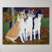 Smooth Collie Dog Portret Poster (Voorkant)