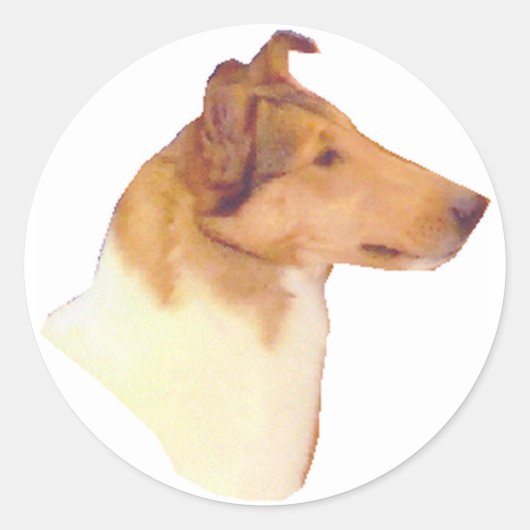 Smooth Collie Gifts Ronde Sticker (Voorkant)