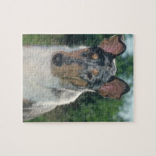 Smooth Collie Merle Dog Puzzle Legpuzzel (Horizontaal)