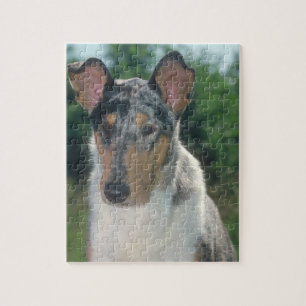Smooth Collie Merle Dog Puzzle Legpuzzel