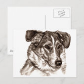 Smooth Collie Portrait Briefkaart (Voorkant / Achterkant)
