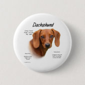 Smooth Dachshund Meet the Breed - Button (Voorkant)