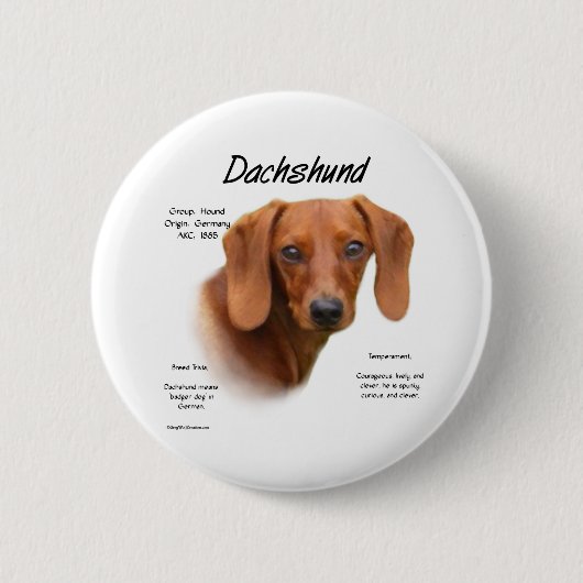 Smooth Dachshund Meet the Breed - Button (Voorkant)