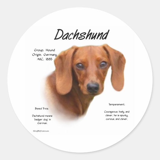 Smooth Dachshund Meet the Breed - Gepersonaliseerd Ronde Sticker (Voorkant)