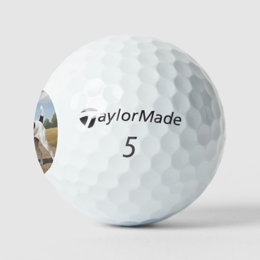 Smooth Fox Terrier Golfballen (Logo)