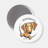 Smooth Red Dachshund heeft alles over mij Magneet (Voorkant / Achterkant)