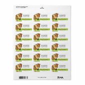 Smooth Red Dachshund Kerstmis Etiket (Full Sheet)