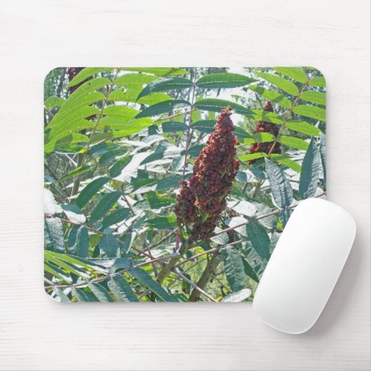 Smooth Sumac Berries Mousepad Muismat (Met muis)