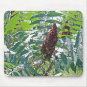 Smooth Sumac Berries Mousepad Muismat (Voorkant)
