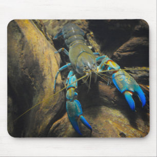 Smooth Yabby Muismat