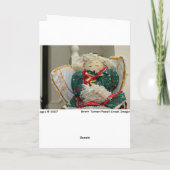 smore-kaart feestdagen kaart (Achterkant)