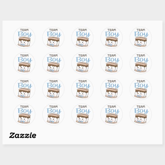 S'more Team Boy geslacht onthullen stickers (Vel)
