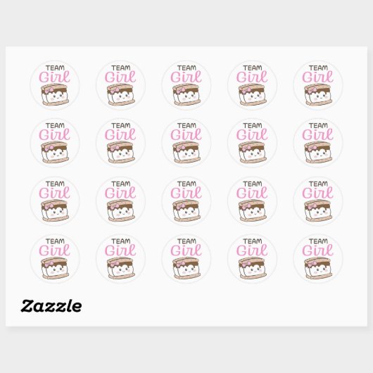 S'more Team Girl geslacht onthullen stickers (Vel)