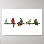 Sms'en tijdens het rijden van Poster (Voorkant)