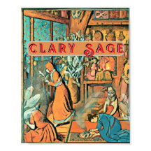 Smudging met Clary Sage