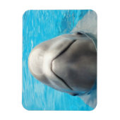 Smug Beluga Whale Flexibele Magnet Magneet (Verticaal)