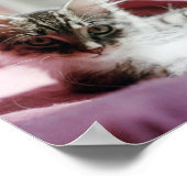 Smug Kitten Poster (Hoek)