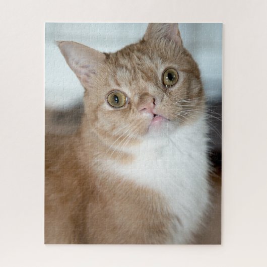 Smushie Puzzle Legpuzzel (Verticaal)