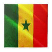 SN002 SENEGAL, Waving Flag, Afrika, Fridge Tegeltje (Voorkant)