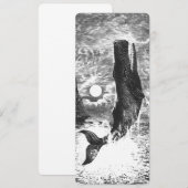  snaarwalvissen, zeedieren (Voorkant / Achterkant)